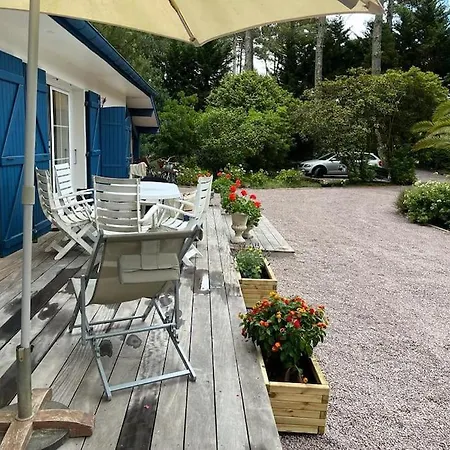 Les Pives * 세노스